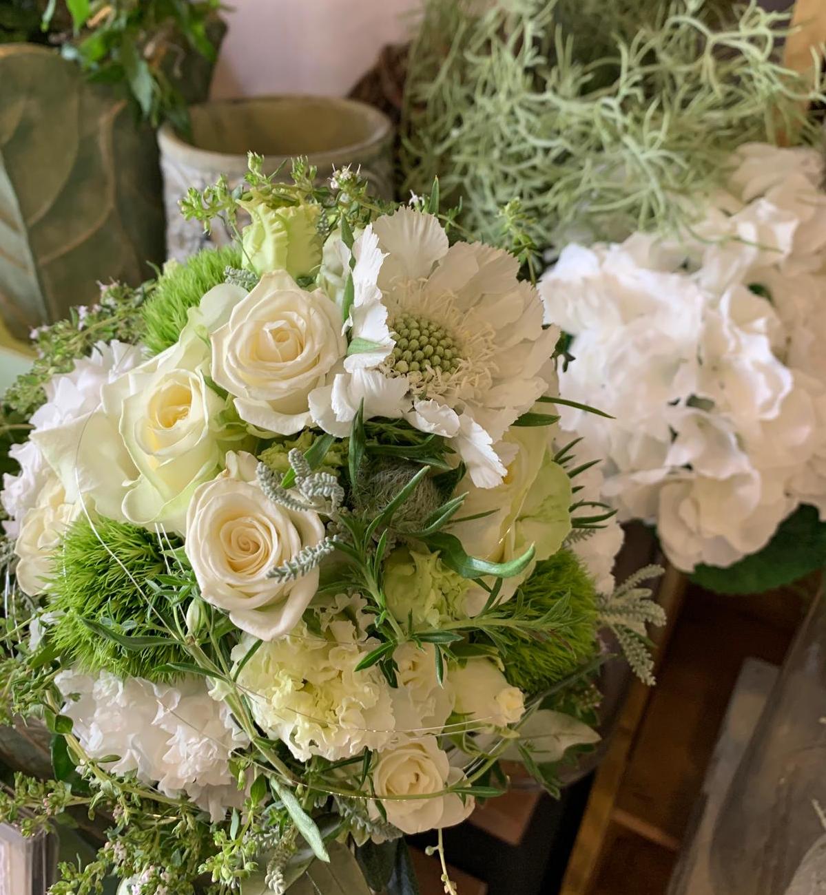 Stil & Blüte » Startseite